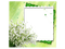 frame green bp - бесплатно png анимированный гифка