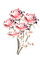 Winter roses - darmowe png animowany gif