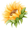 kikkapink sunflower - zdarma png animovaný GIF