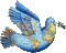 Bird of peace-Victoriabea - Δωρεάν κινούμενο GIF κινούμενο GIF