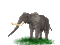 Elephant Sitting - GIF animé gratuit GIF animé