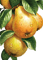 Birnen, Pears - zadarmo png animovaný GIF
