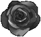 black rose - GIF animé gratuit GIF animé