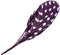 Kaz_Creations Purple-Deco-Feather - png gratuito GIF animata