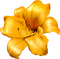lily by nataliplus - png gratuito GIF animata