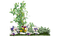flower,grass,tree,rock - darmowe png animowany gif