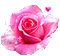 rose - Free animated GIF Animated GIF