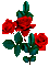 Red roses - Бесплатный анимированный гифка анимированный гифка