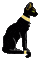 chat noir egypte - GIF animé gratuit GIF animé