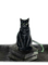 Rena black Cat Katze Gothic - darmowe png animowany gif