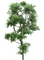 tree, sunshine3 - ilmainen png animoitu GIF