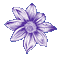 Purple Flower - Ilmainen animoitu GIF animoitu GIF