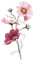 fleurs - png gratis GIF animasi
