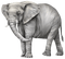 elefant - kostenlos png Animiertes GIF