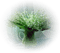 Kaz_Creations Deco Vase Flowers - PNG gratuit GIF animé