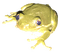 frog olive bright - png gratis GIF animado