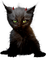 halloween cat by nataliplus - PNG gratuit GIF animé