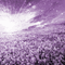 Y.A.M._Landscape background purple - Animovaný GIF zadarmo animovaný GIF