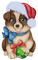 Christmas. Dog. Winter. Leila - gratis png geanimeerde GIF