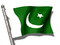 Pakistan Flag - Zdarma animovaný GIF animovaný GIF