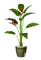 Blumentopf - gratis png geanimeerde GIF