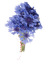 Fleur.Bouquet de fleurs bleues.Victoriabea - Free PNG Animated GIF