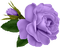 Kaz_Creations Deco Flower Colours Flowers - besplatni png animirani GIF