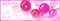 pink marble banner - 無料のアニメーション GIF アニメーションGIF