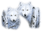 white wolves - darmowe png animowany gif