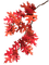 Tree Branch, Red - Jitter.Bug.Girl - png gratuito GIF animata