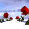 La route des roses - GIF animé gratuit