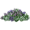 flores  dubravka4 - ingyenes png animált GIF