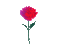 Red Rose - Nemokamas animacinis gif animuotas GIF