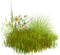 herbe - 免费PNG 动画 GIF