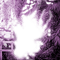 Y.A.M._Landscape frame purple - gratis png animeret GIF