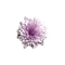 kikkapink deco scrap purple flower - zadarmo png animovaný GIF
