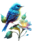 Pájaro en flor - bezmaksas png animēts GIF