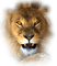 lion bp - kostenlos png Animiertes GIF