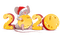 2020 new year deco  text - png grátis Gif Animado