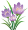 Kaz_Creations Deco Flowers Purple - zadarmo png animovaný GIF