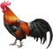 gallo - PNG gratuit GIF animé