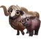 sheep - png gratis GIF animado