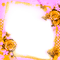 Pink/Orange Roses Frame - By KittyKatLuv65 - nemokama png animuotas GIF
