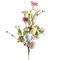 Coquelicot - 免费PNG 动画 GIF