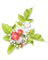 patymirabelle fleurs - png gratis GIF animado