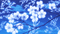 animated blue background - Darmowy animowany GIF animowany gif