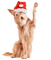 Kaz_Creations Dog Pup Dogs 🐶 - png gratuito GIF animata