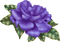 kikkapink deco scrap purple flower - zdarma png animovaný GIF