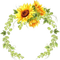 loly33 tournesol frame - 免费PNG 动画 GIF