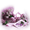 violeta - png gratis GIF animado